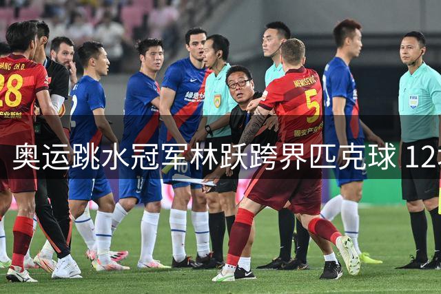 奥运跳水冠军林跃跨界匹克球 12块场地展现全新事业版图